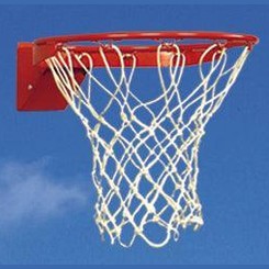 Bison Fast Break Residential Flex Basketball Goal