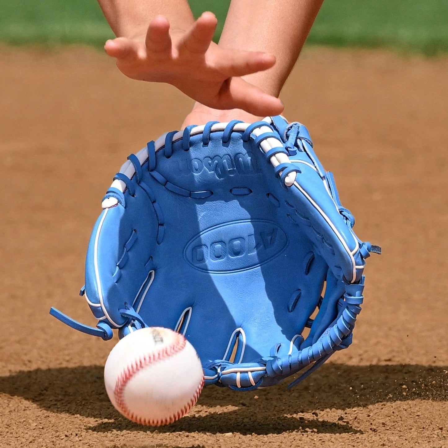 Wilson A1000 1786 11.5" Baseball Glove