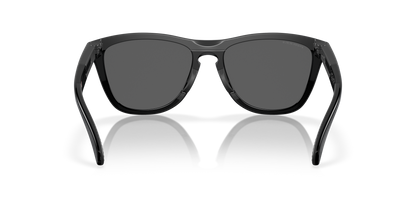 Oakley Frogskins Range A Glasses