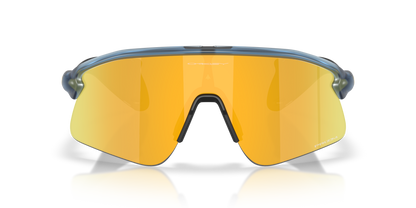 Oakley Stunt Devil Sunglasses