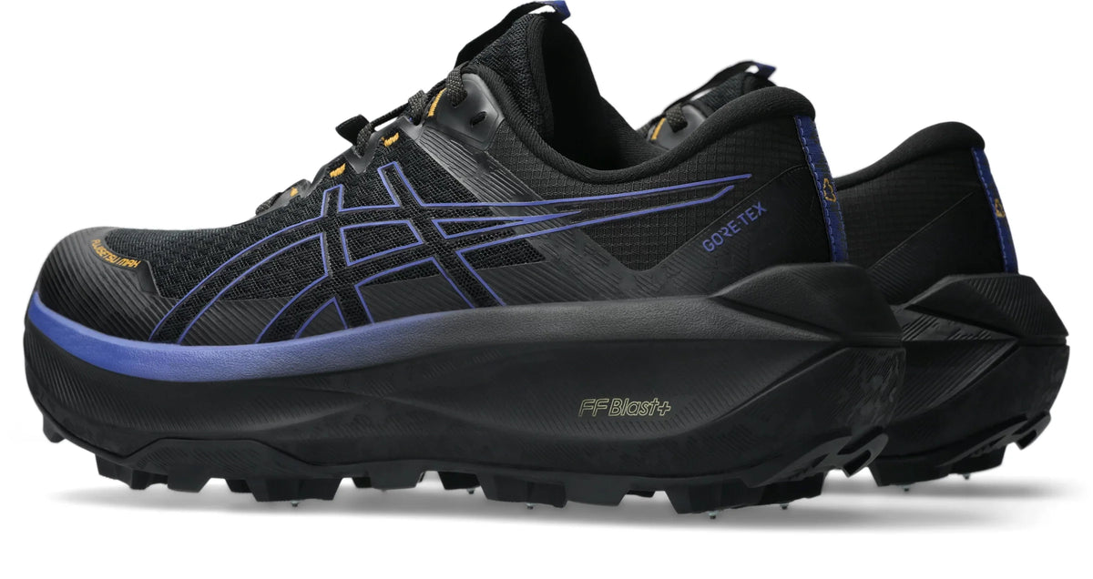 Asics Men's Fujisetsu Max GTX Trail Running Shoes