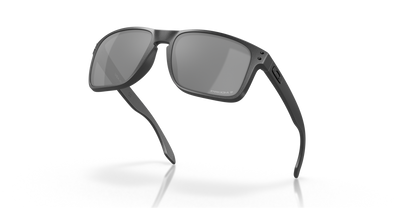 Oakley Holbrook XL Glasses