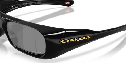 Oakley Permian Glasses