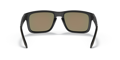 Oakley Holbrook NFL Glasses