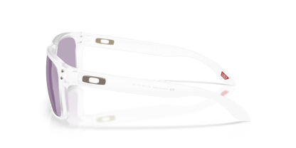 Oakley Holbrook Glasses