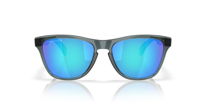 Oakley Frogskins S Glasses
