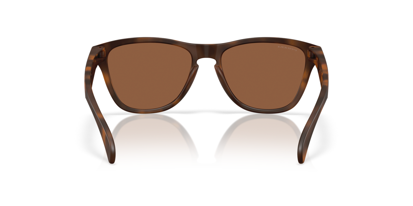 Oakley Frogskins S Glasses