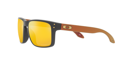 Oakley Holbrook Glasses