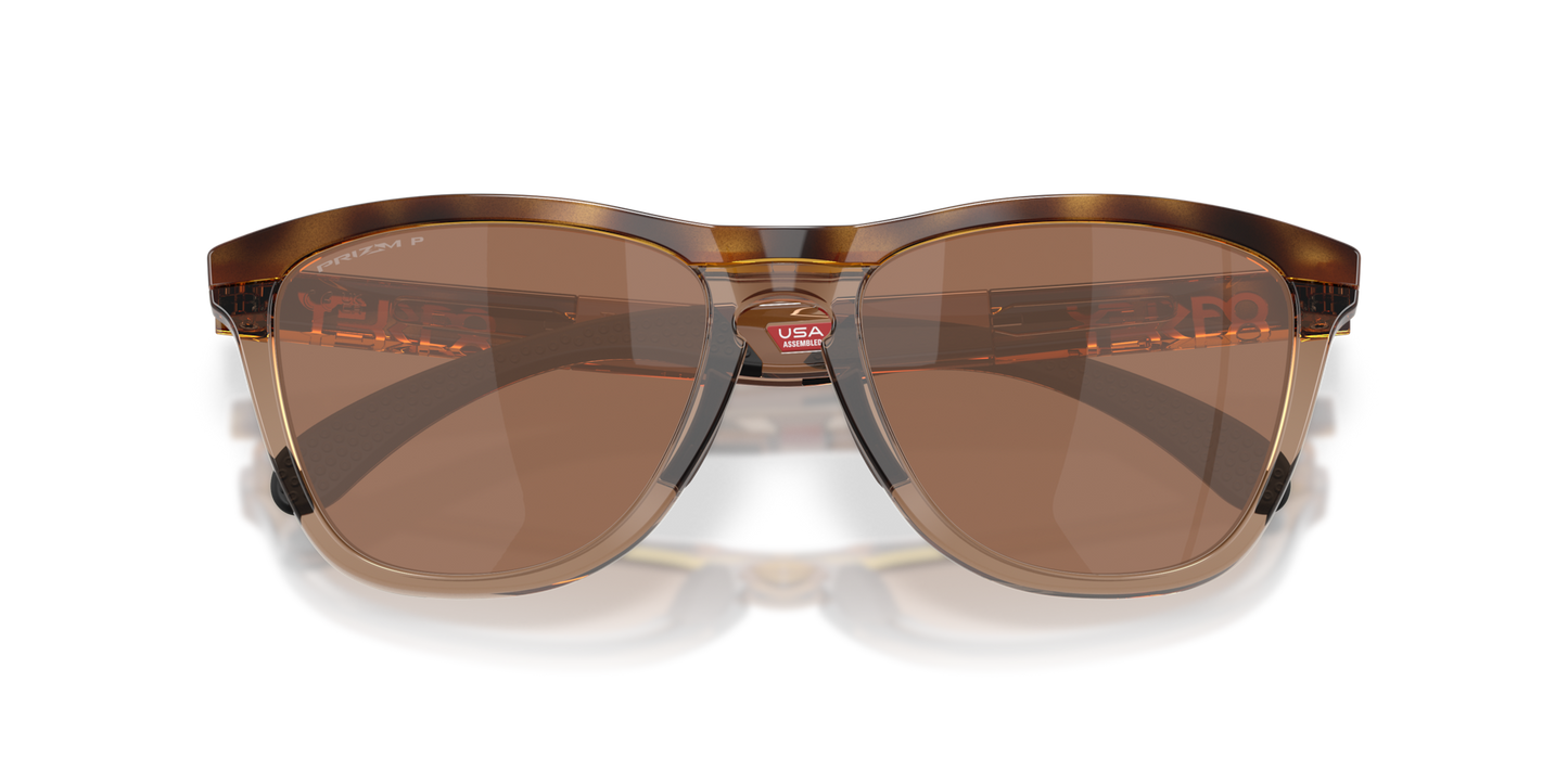 Oakley Frogskins Range XL Glasses