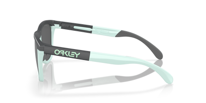 Oakley Frogskins Range Glasses