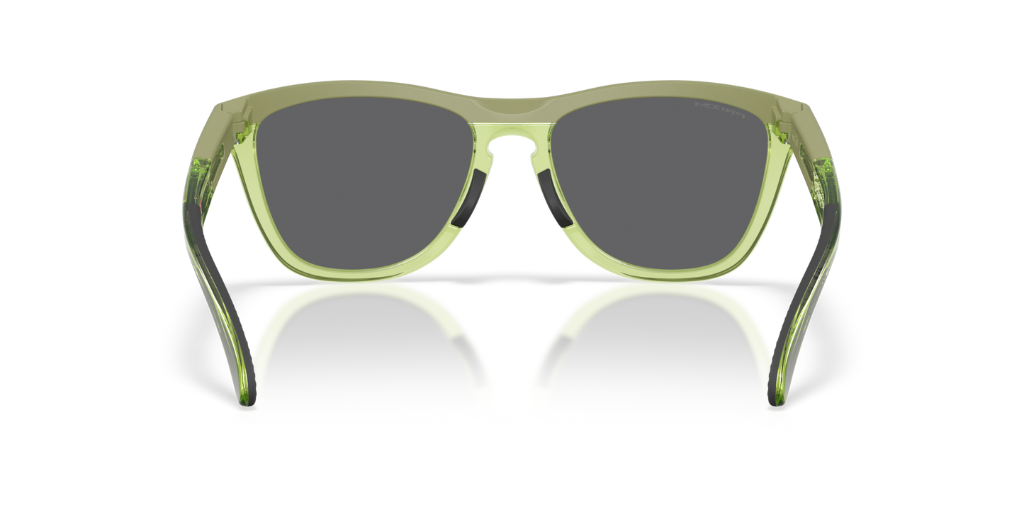 Oakley Frogskins Range XL Glasses