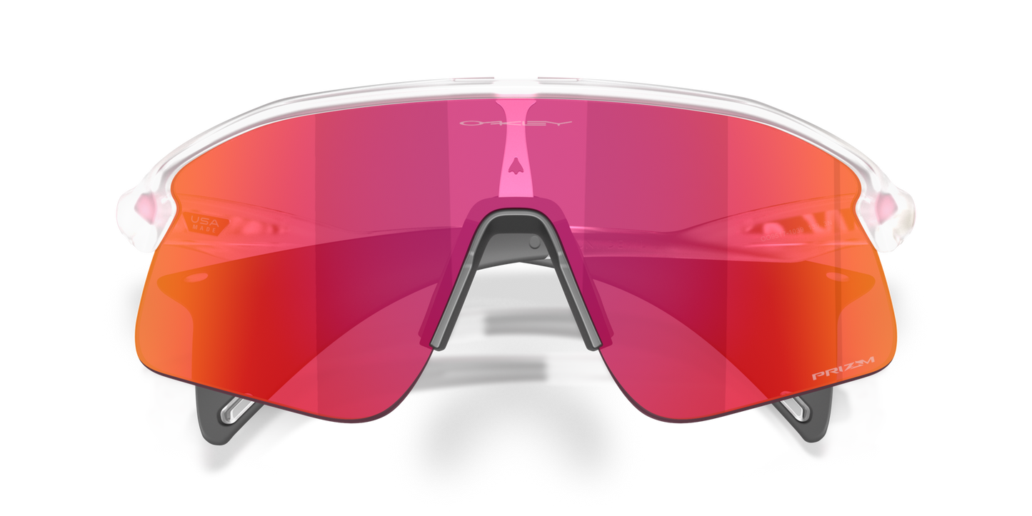 Oakley Stunt Devil Sunglasses