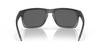 Oakley Holbrook XL Glasses