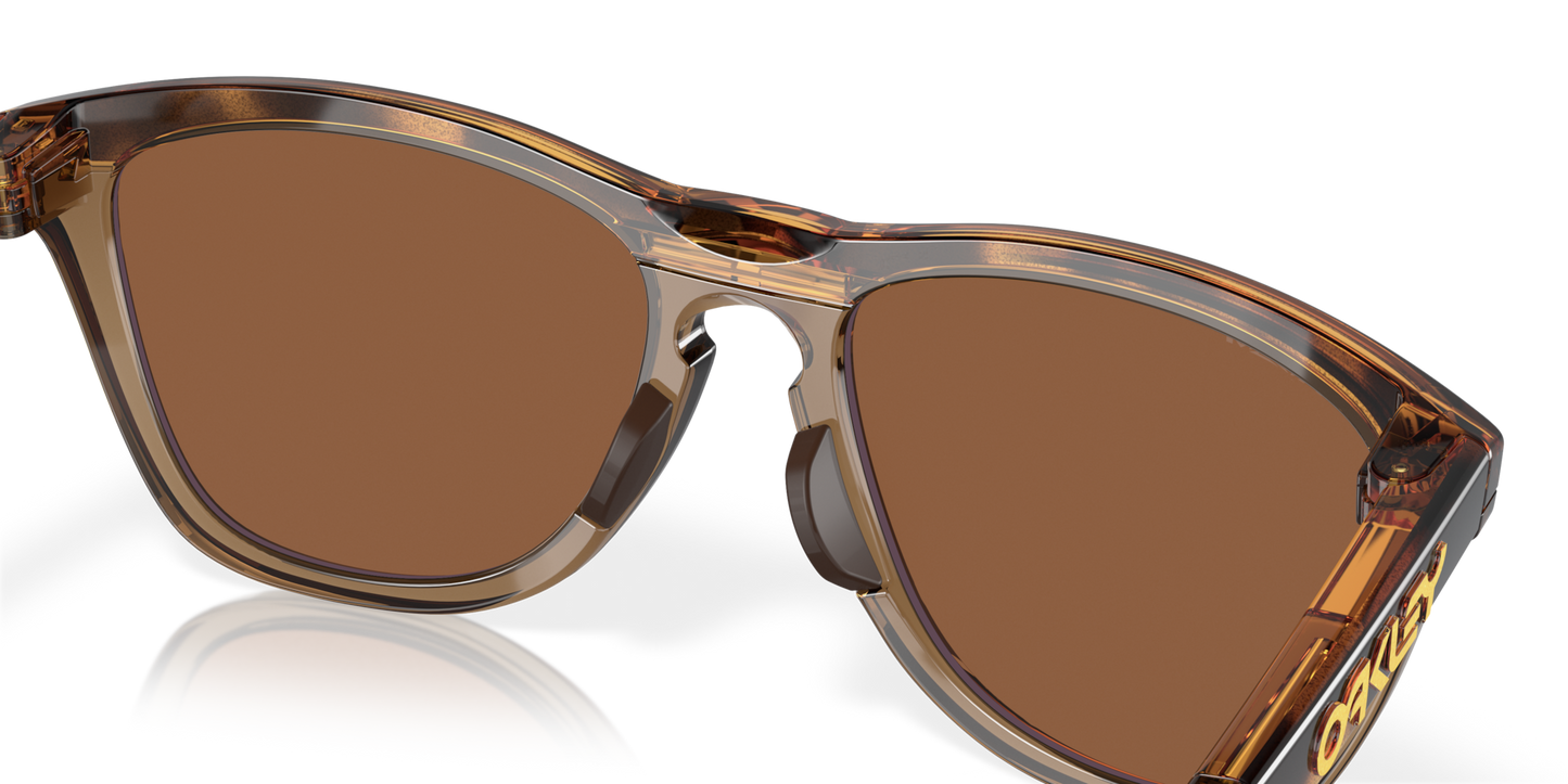 Oakley Frogskins Range A Glasses