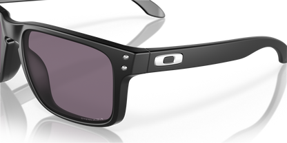 Oakley Holbrook Glasses