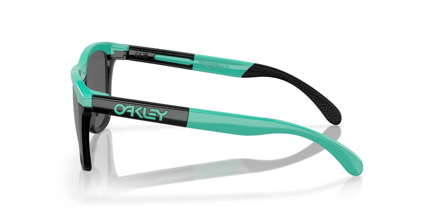 Oakley Frogskins Range Glasses