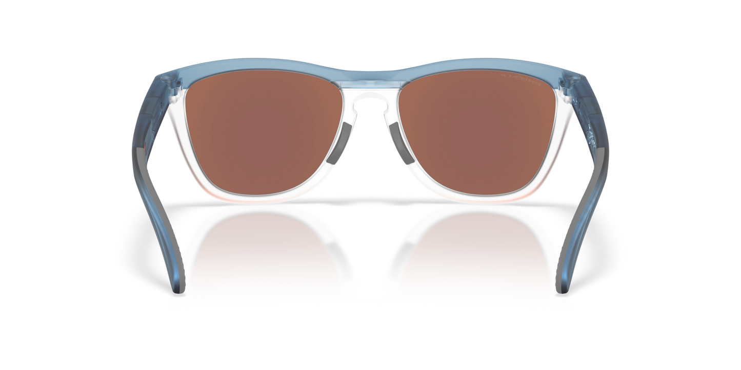 Oakley Frogskins Range XL Glasses