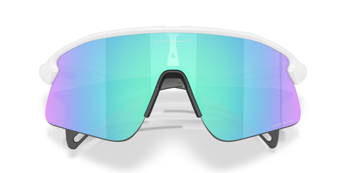 Oakley Stunt Devil Sunglasses