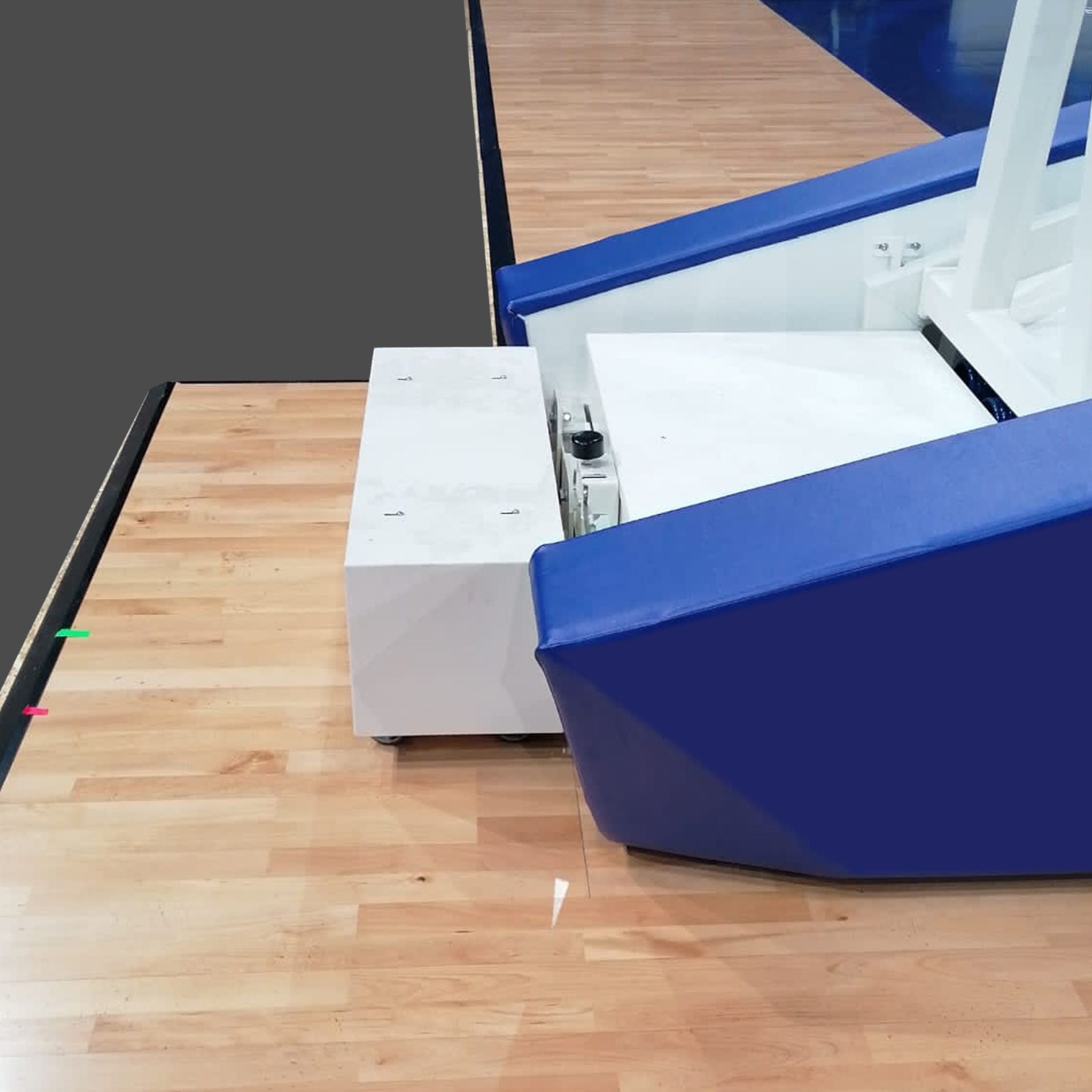 SAM Portable Hoop Weight Cart