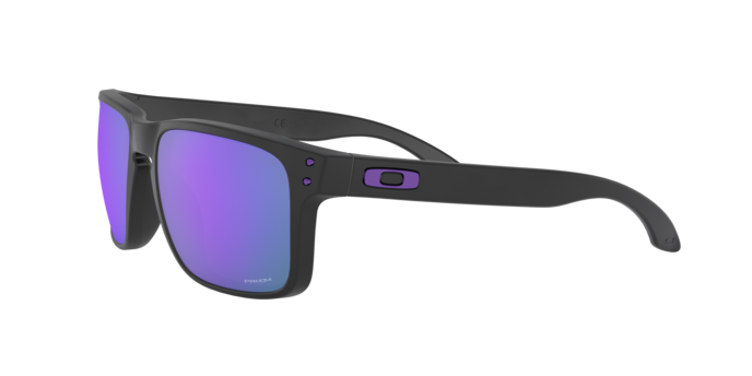 Oakley Holbrook Glasses