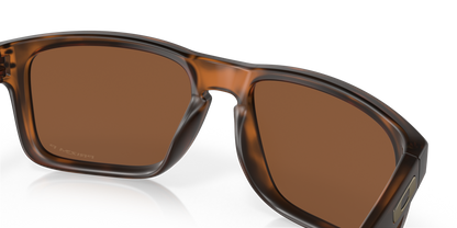 Oakley Holbrook Glasses