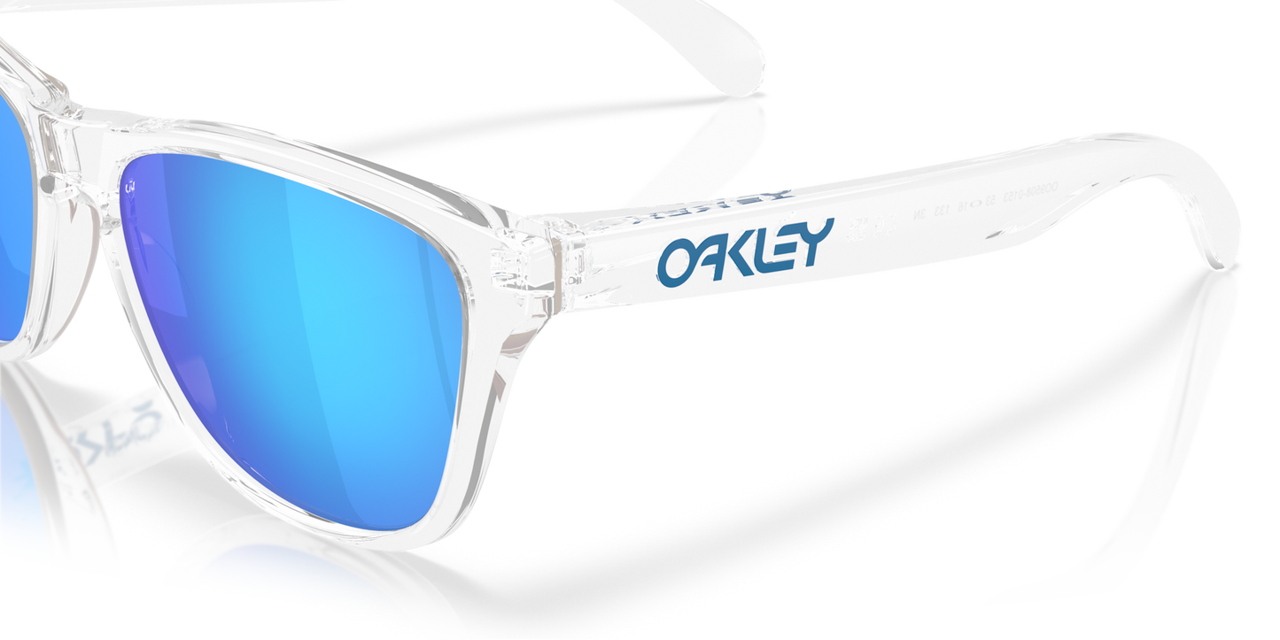 Oakley Frogskins S Glasses