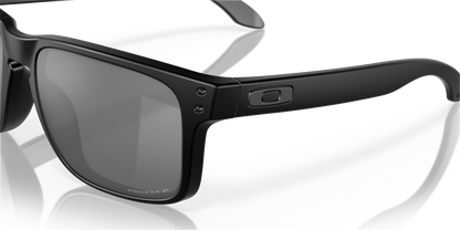 Oakley Holbrook Glasses