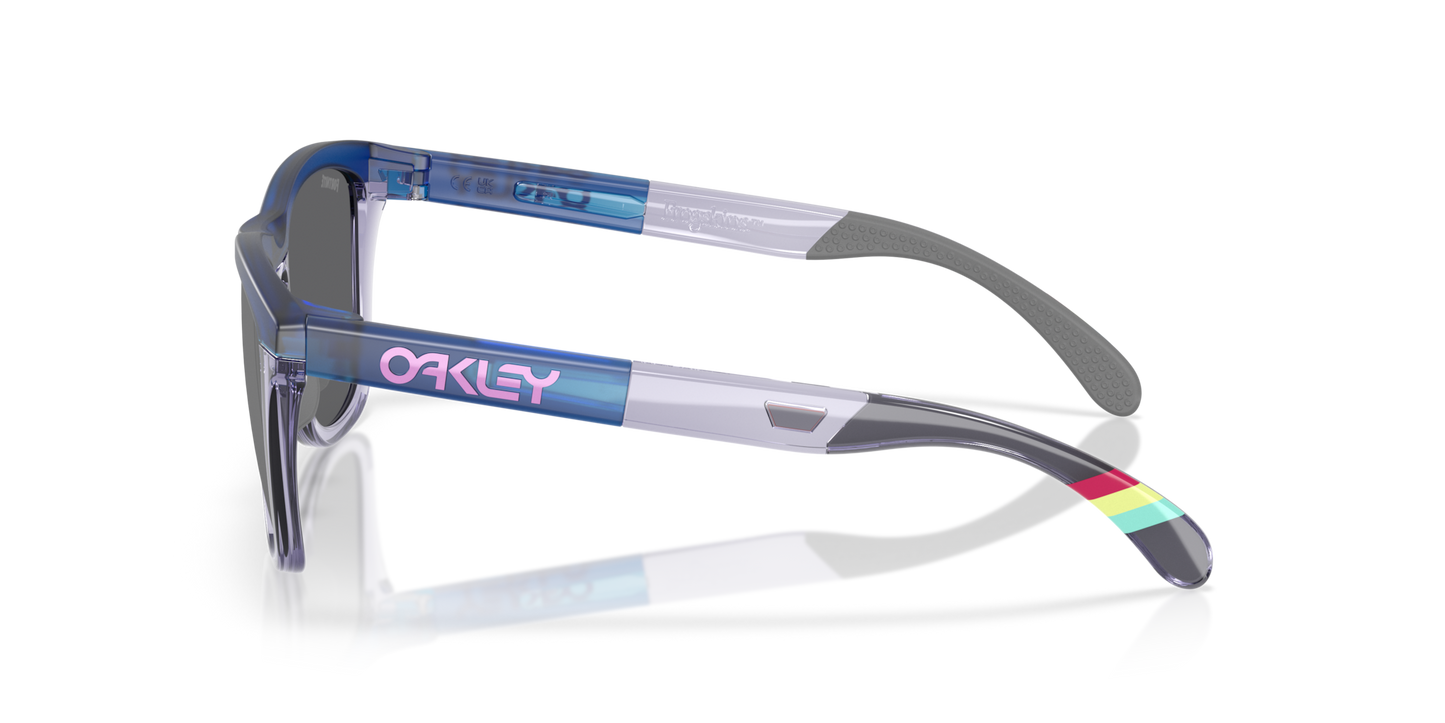 Oakley Frogskins Range Glasses