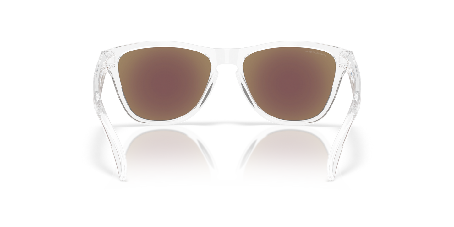 Oakley Frogskins S Glasses