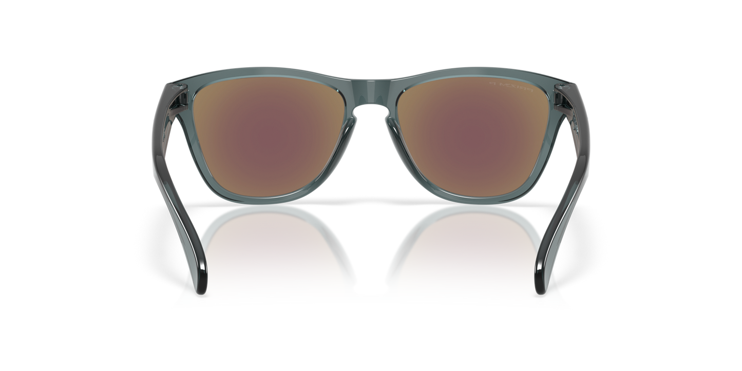 Oakley Frogskins S Glasses