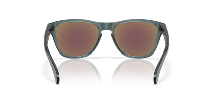 Oakley Frogskins S Glasses