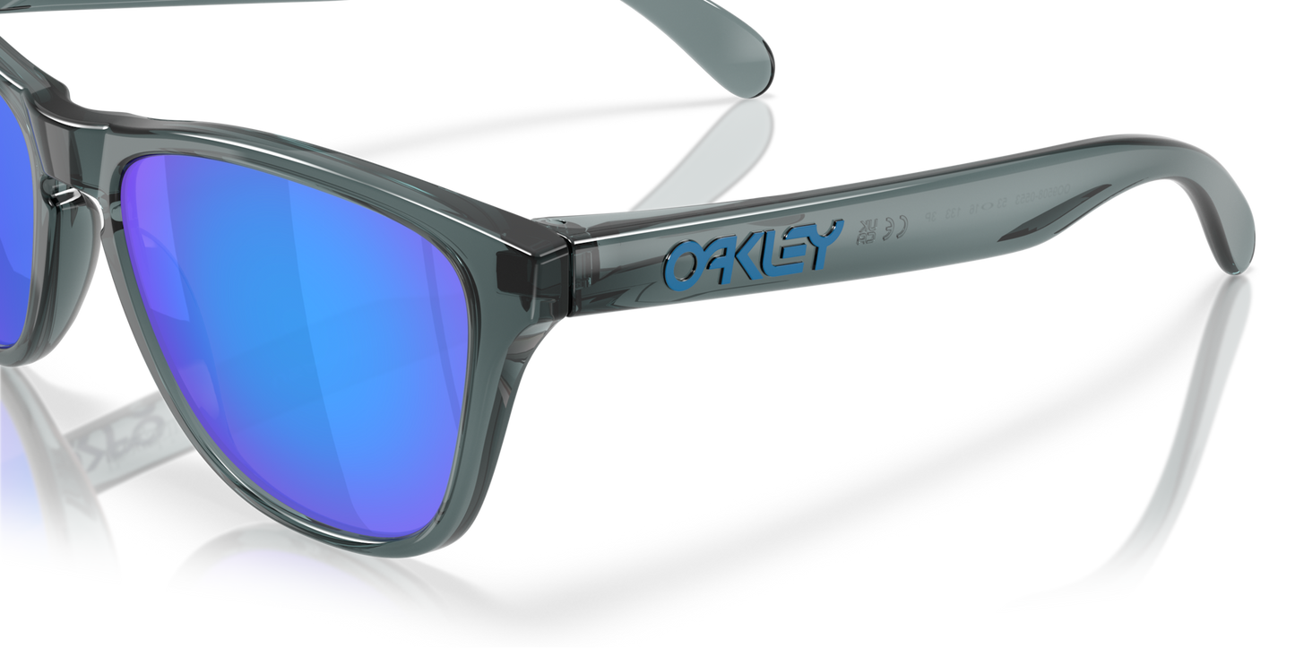Oakley Frogskins S Glasses