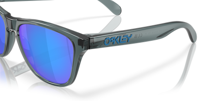 Oakley Frogskins S Glasses