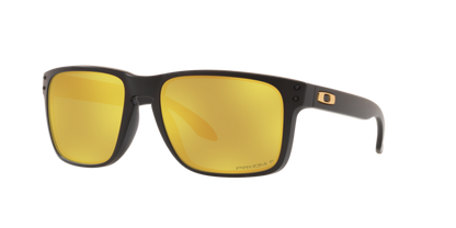 Oakley Holbrook XL Glasses