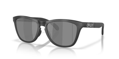 Oakley Frogskins Range XL Glasses