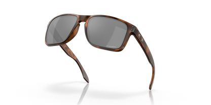 Oakley Holbrook XL Glasses