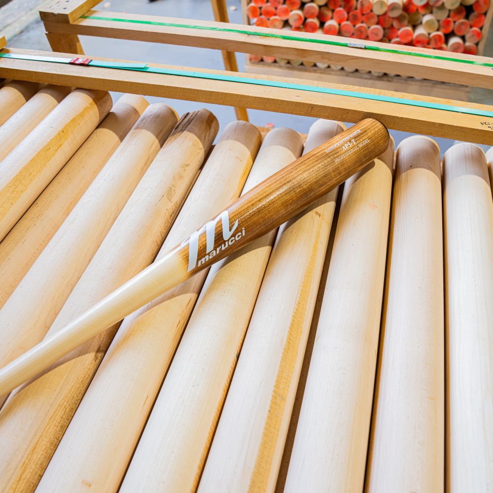 Marucci AP5 Torpedo Pro Model Maple Wood Bat: MVE5AP5T