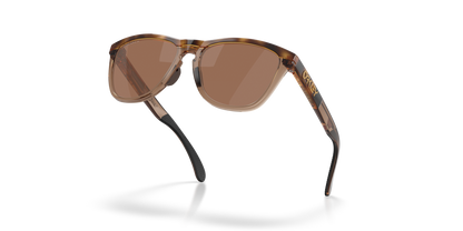 Oakley Frogskins Range XL Glasses