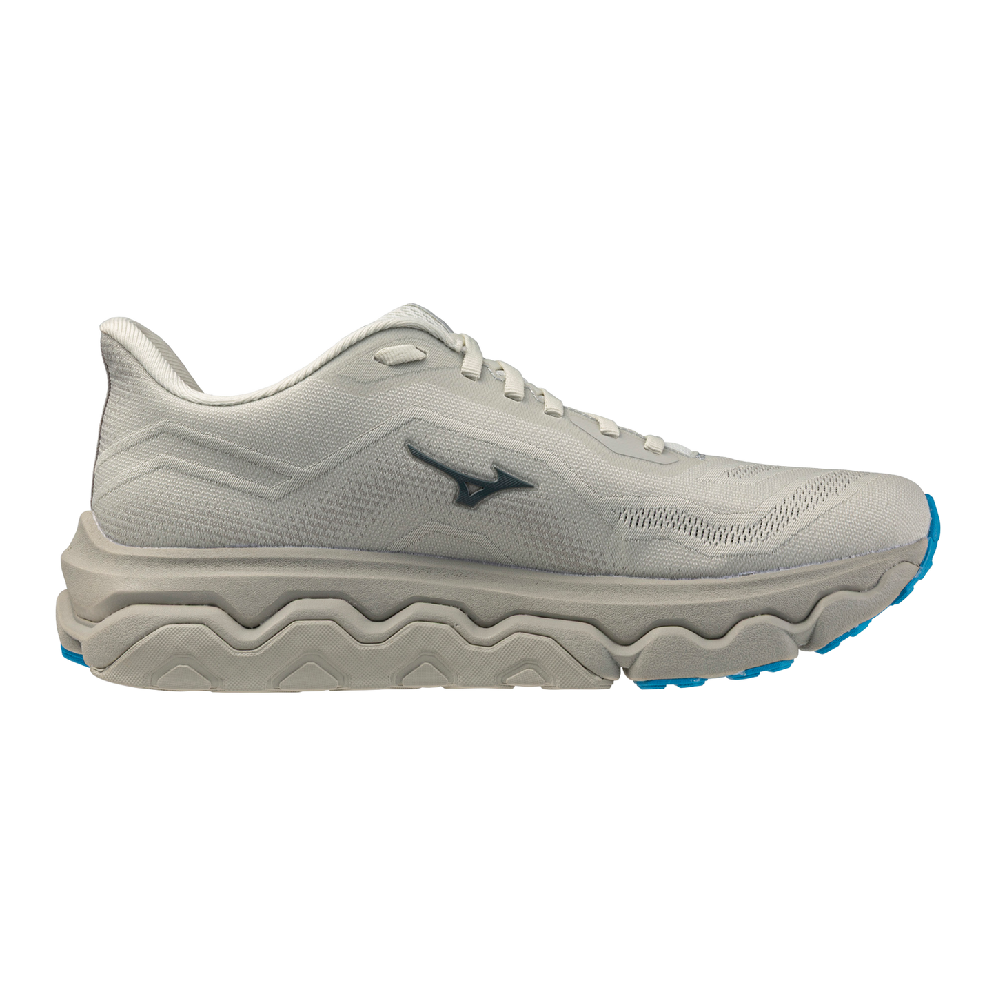 Mizuno Men's Wave Horizon 9 Running Shoes