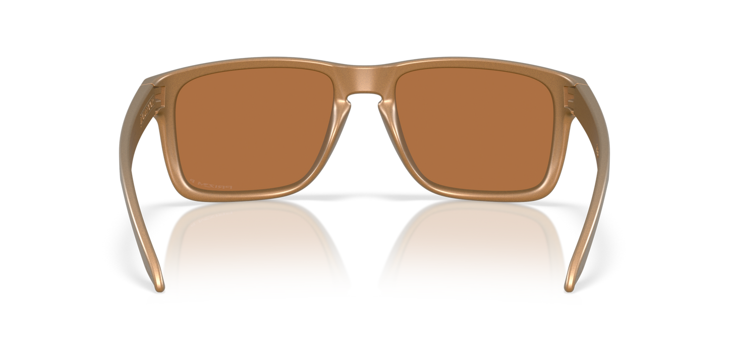 Oakley Holbrook XL Glasses