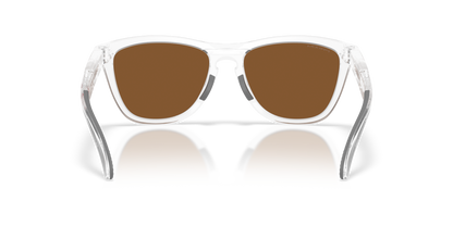 Oakley Frogskins Range XL Glasses