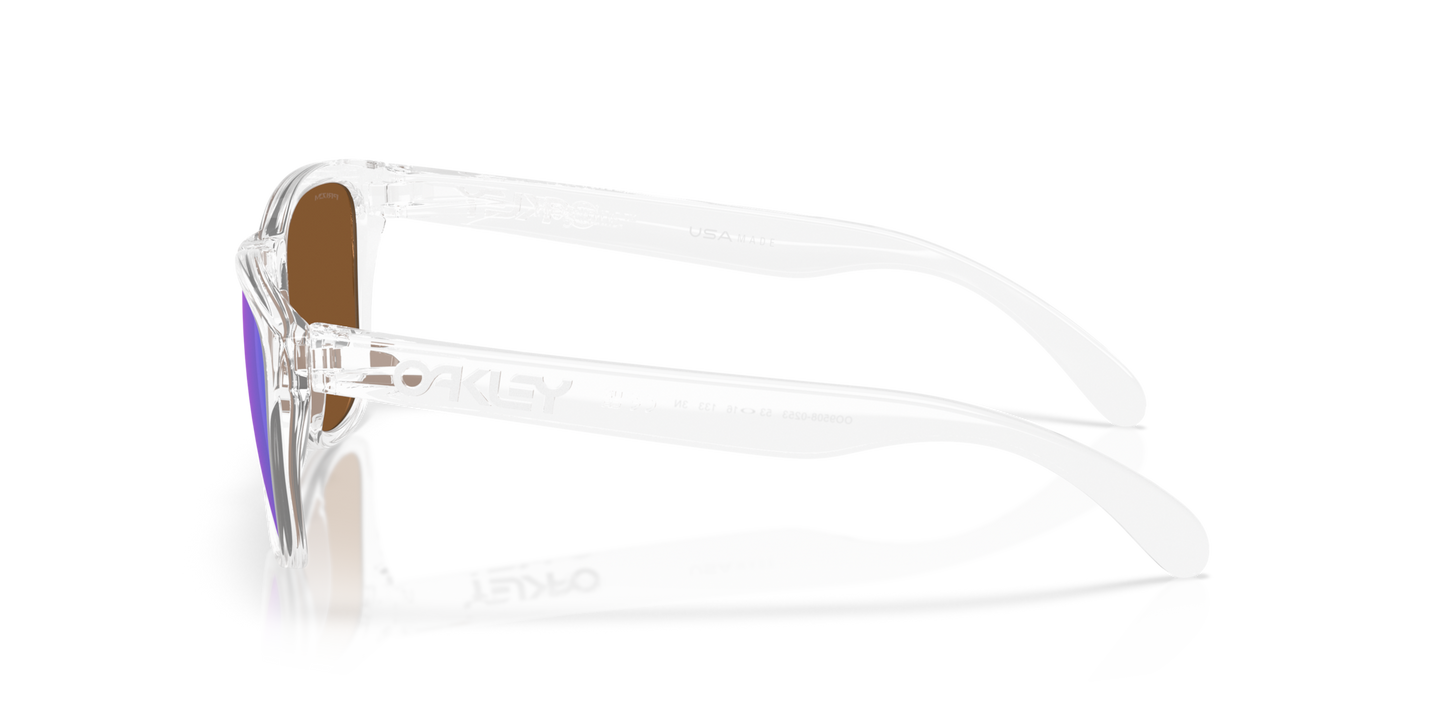 Oakley Frogskins S Glasses