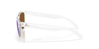Oakley Frogskins S Glasses