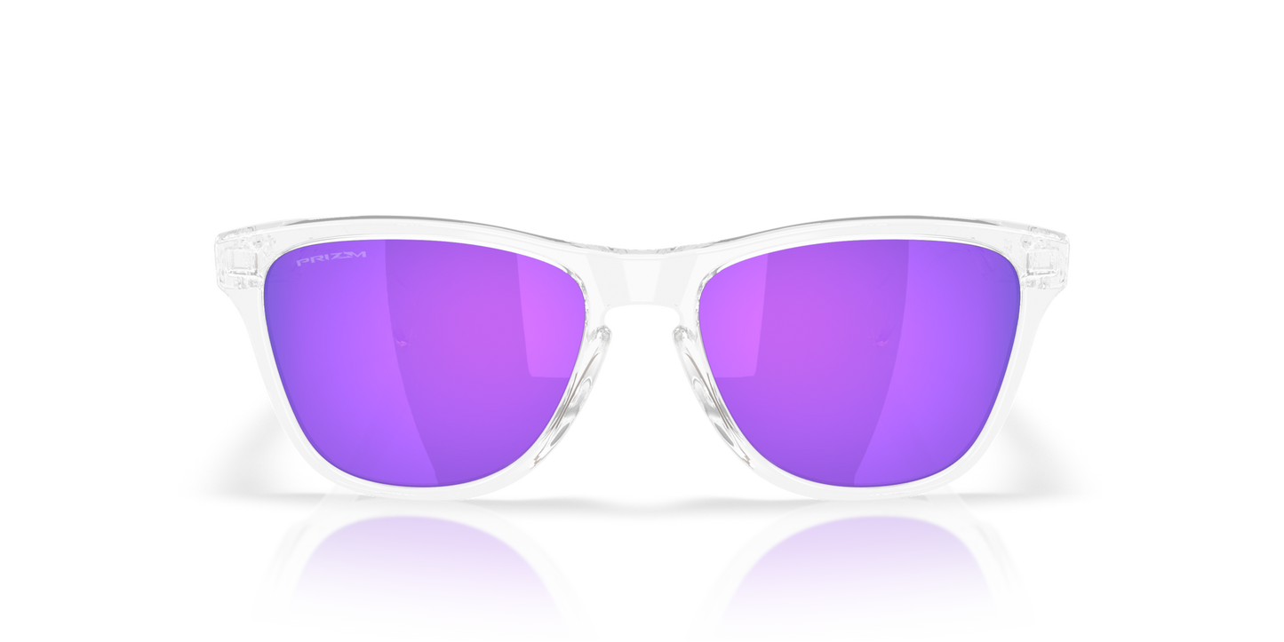 Oakley Frogskins S Glasses