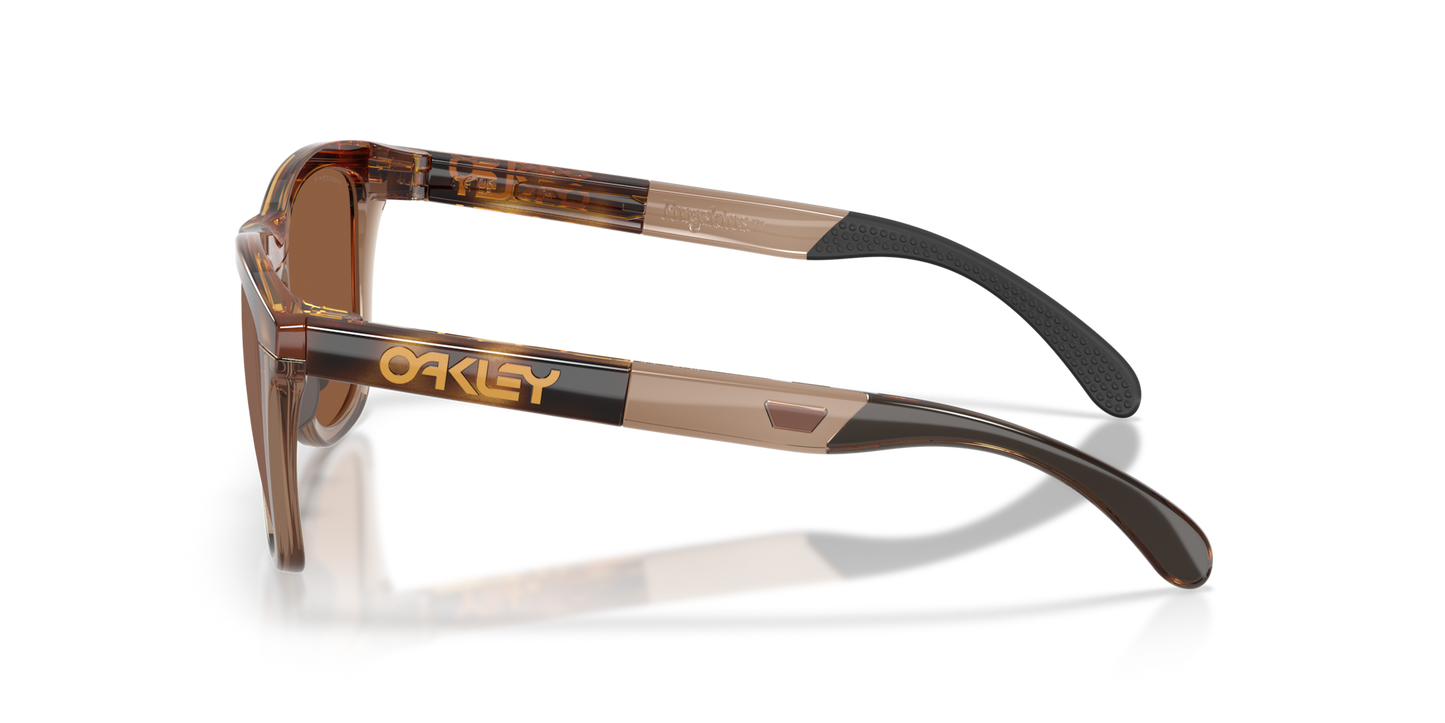 Oakley Frogskins Range XL Glasses
