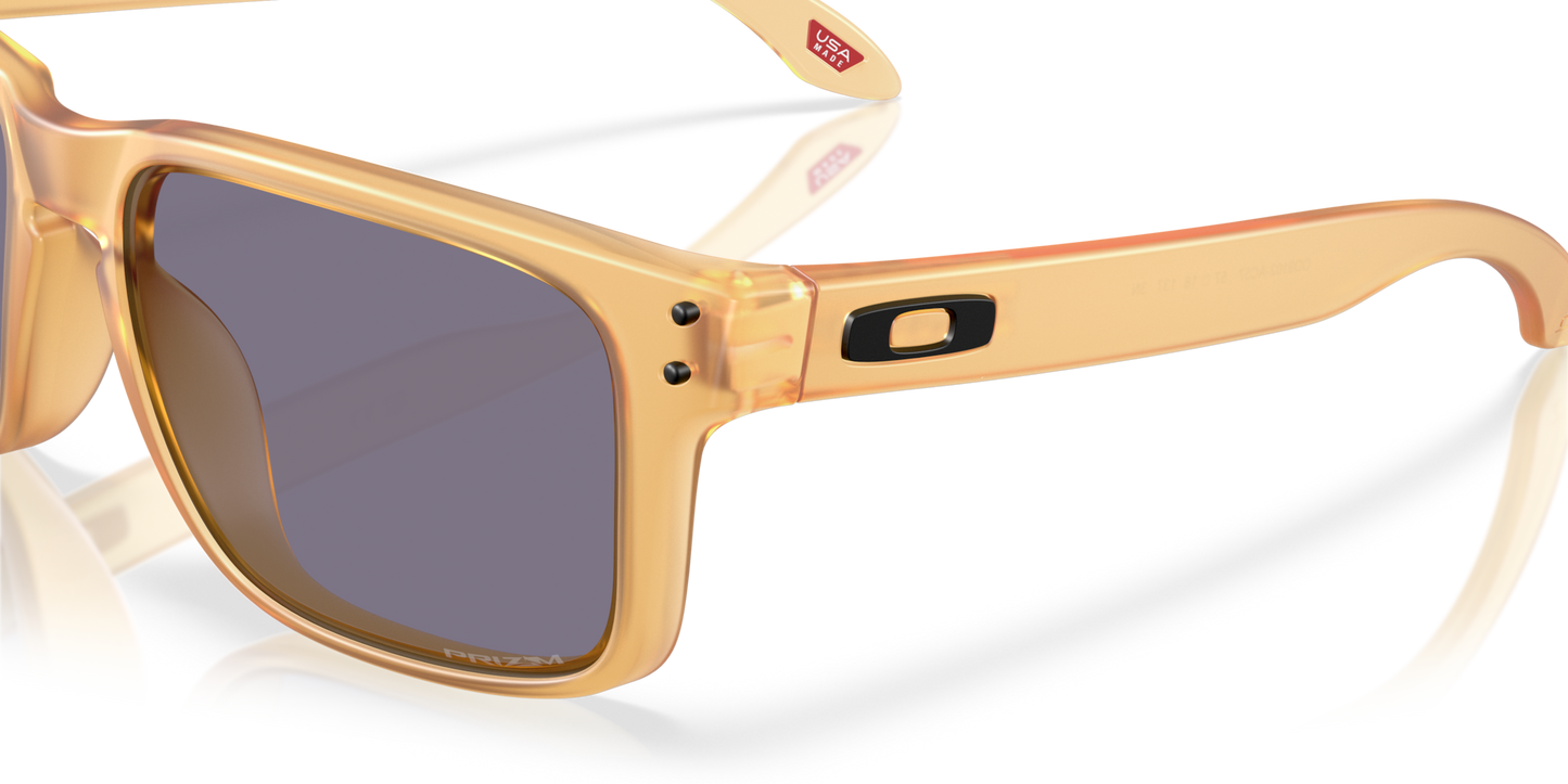 Oakley Holbrook Glasses