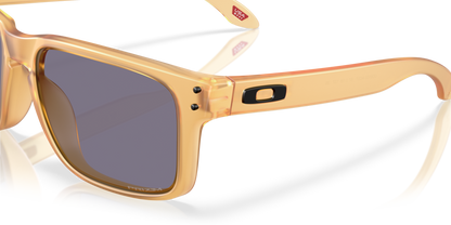 Oakley Holbrook Glasses