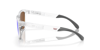 Oakley Frogskins Range Glasses