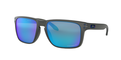 Oakley Holbrook XL Glasses