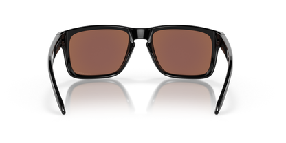 Oakley Holbrook Glasses